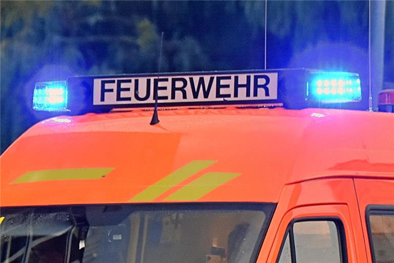 Ein Feuerwehrwagen und zehn Einsatzkräfte waren im Einsatz. (Symbolfoto: Tobias Sellmaier)