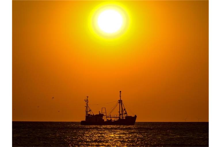 Ein Fischerboot auf der Nordsee vor Sylt. Foto: Axel Heimken/dpa