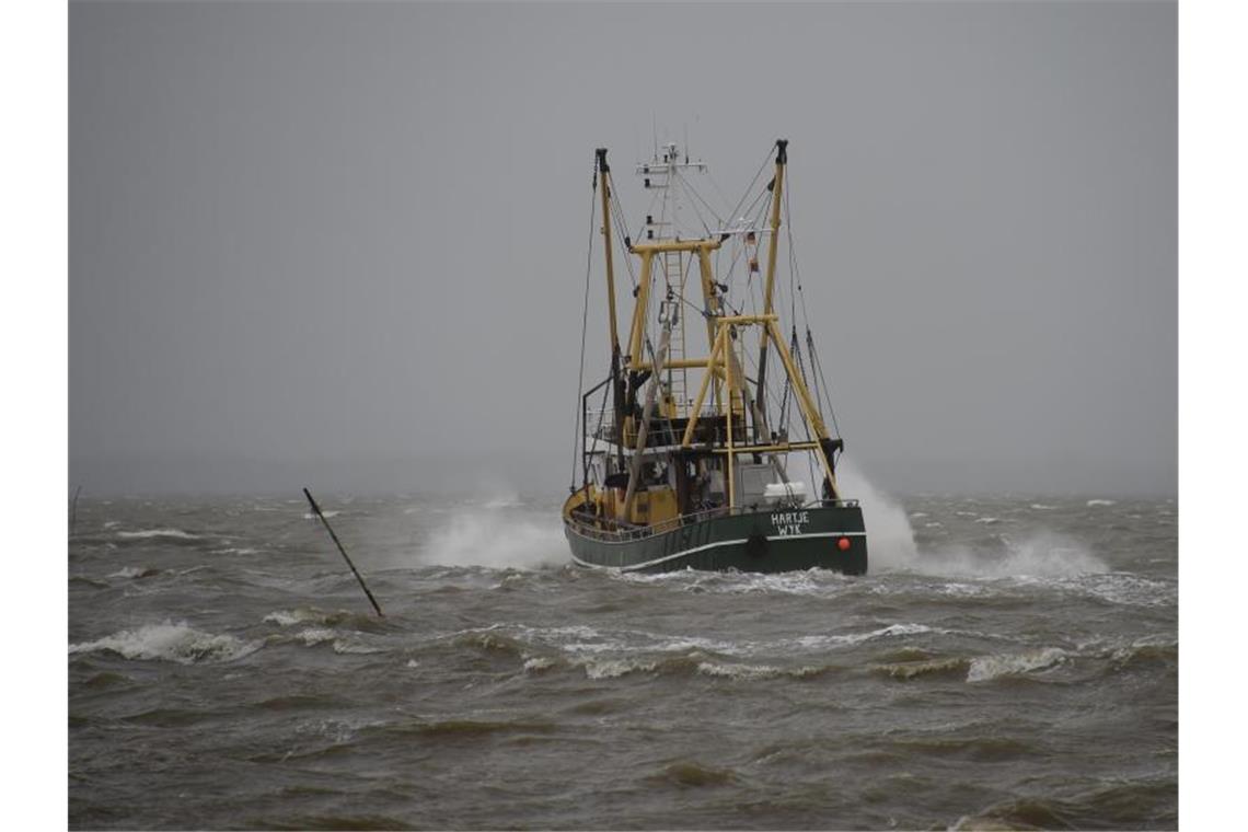 Zustand von Nord- und Ostsee schlechter denn je Ein Fischkutter fährt vor Dagebüll über die sturmgepeitschte Nordsee. Greenpeace sorgt sich um die Ökosysteme in Nord- und Ostsee. Foto: Carsten Rehder/dpa
