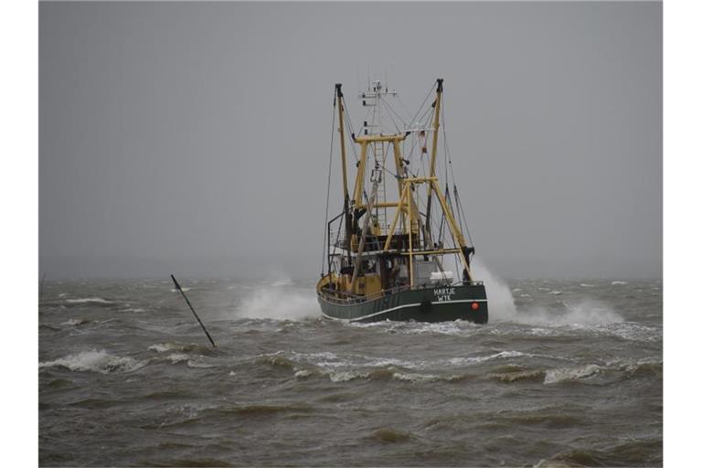 Ein Fischkutter fährt vor Dagebüll über die sturmgepeitschte Nordsee. Greenpeace sorgt sich um die Ökosysteme in Nord- und Ostsee. Foto: Carsten Rehder/dpa