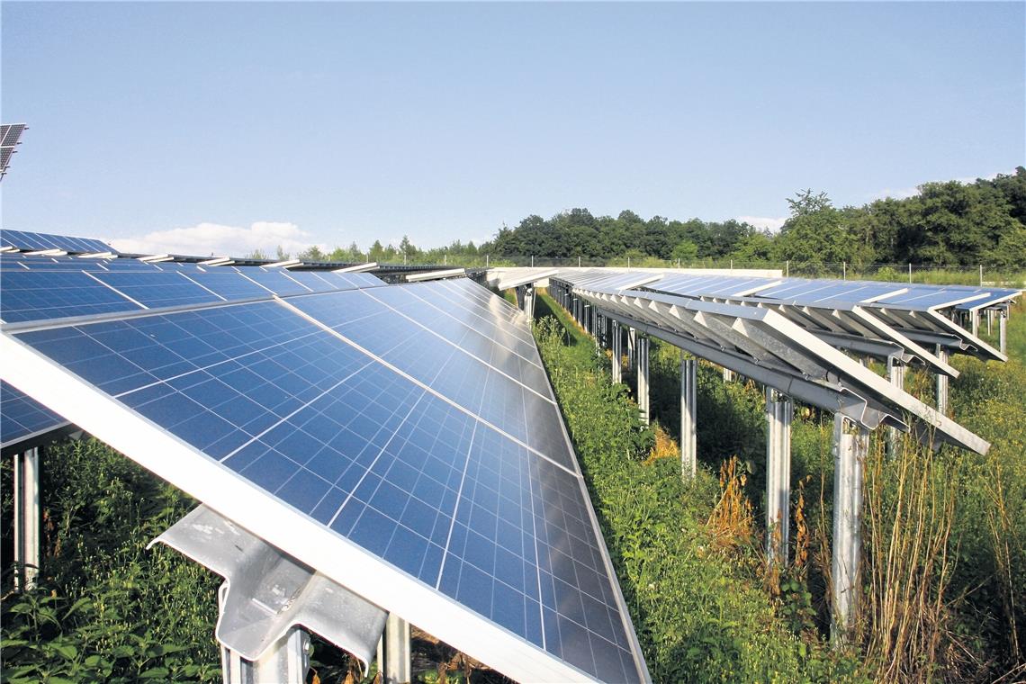 Energiegemeinschaft will sich am Solarpark beteiligen