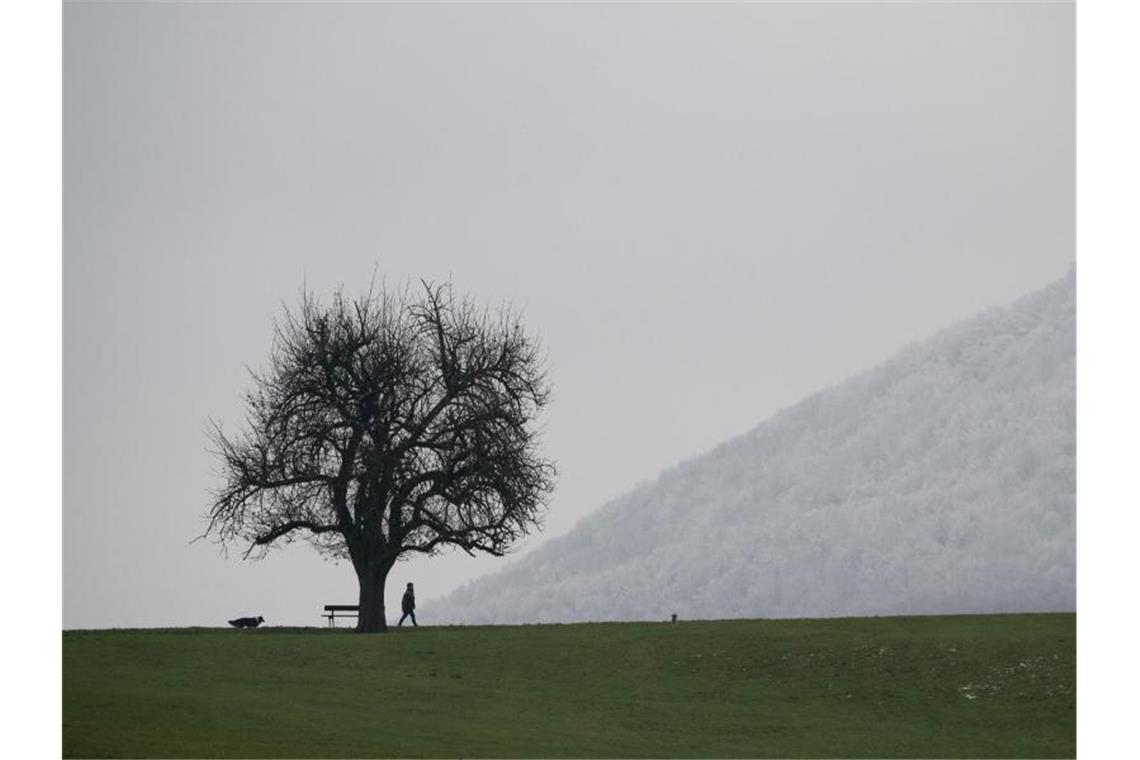 Nebel, Sonne und Wolken am Wochenende Ein Fußgänger geht mit seinen Hunden vor der Schwäbischen Alb spazieren. Foto: Sebastian Gollnow/dpa/Archivbild