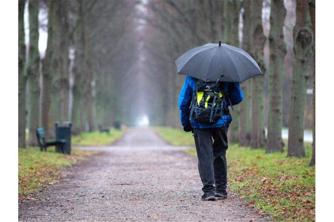Nasser, kühler Start in den Dienstag Ein Fußgänger läuft mit einem Regenschirm durch eine Allee. Foto: Lucas Bäuml/dpa/Archivbild