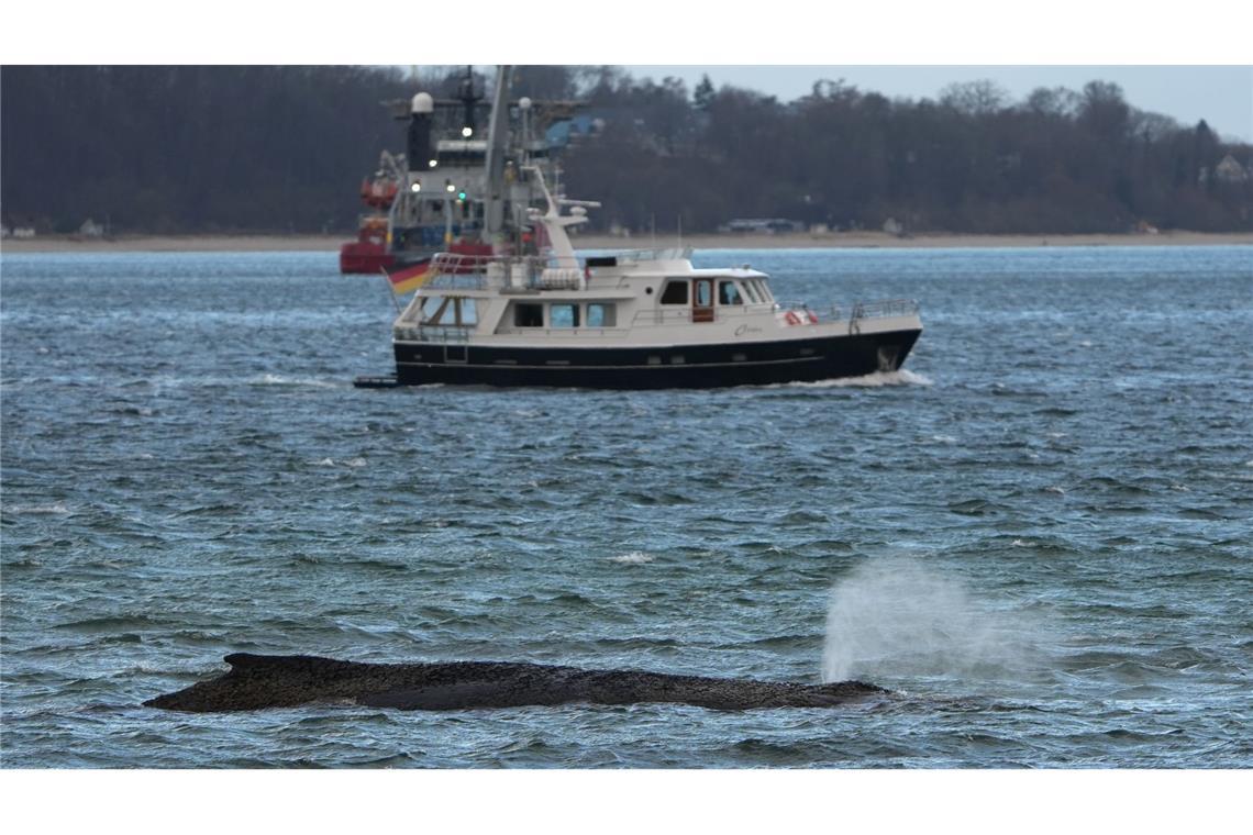 Ein größerer Saugbagger wird demnächst vor Ort erwartet.