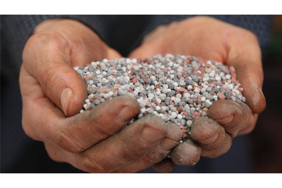 Ein Großteil des für die Ernährung wichtigen Elements Phosphor gelangt als Dünger auf Ackerflächen.