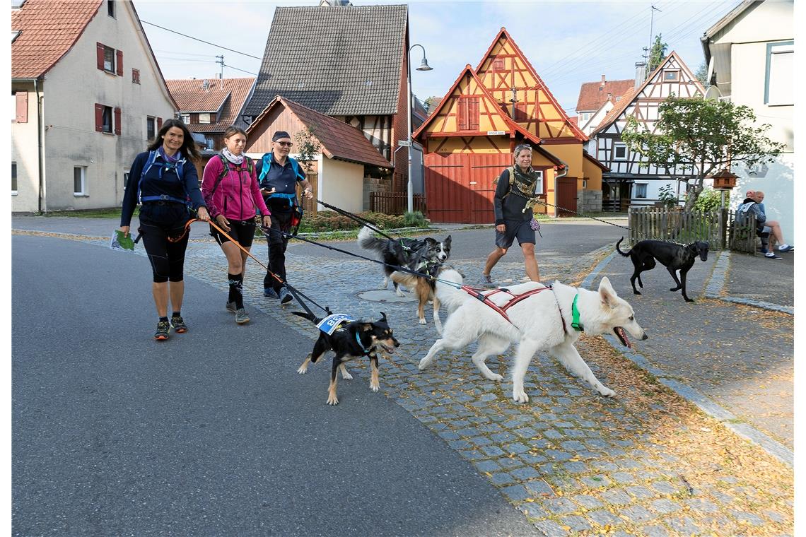 Ein Grüppchen der insgesamt knapp 500 Teilnehmern am Wandermarathon, der in Sulz...