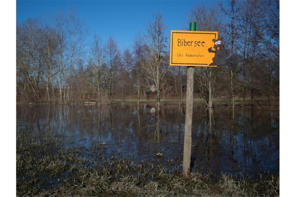 Ein handgemachtes gelbes Ortsschild verweist auf den „Bibersee“ in der Nähe des Eppinger Ortsteils Adelshofen. Foto: Marijan Murat/dpa