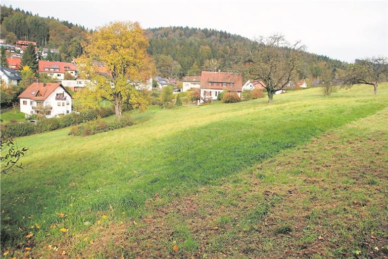 Ein Handicap der künftigen Bauplätze ist sicherlich, dass sie nach Nordwesten geneigt sind und so weniger Sonne abbekommen. Foto: U. Gruber