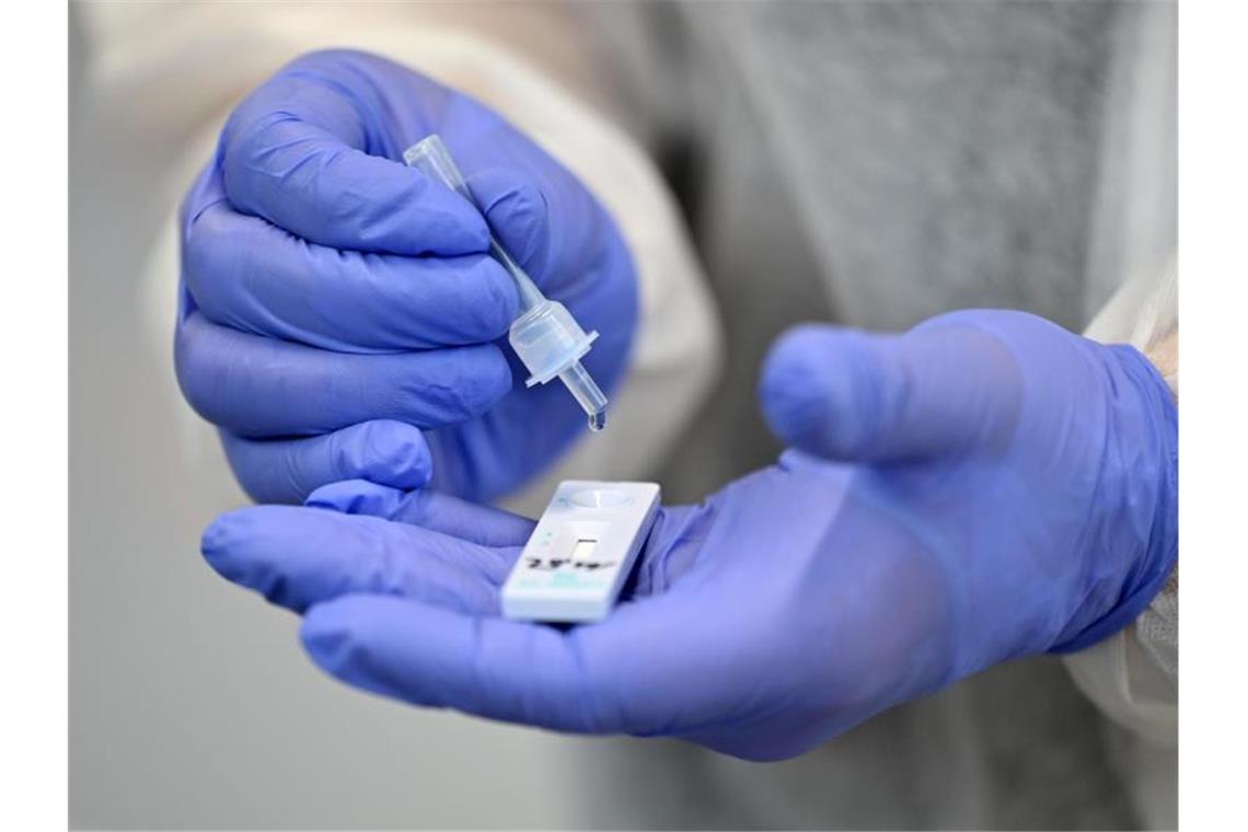 Hochschulen erhalten 400.000 Schnelltests Ein Helfer verarbeitet eine Probe für einen Corona-Schnelltest. Foto: Martin Schutt/dpa-Zentralbild/dpa/Symbolbild