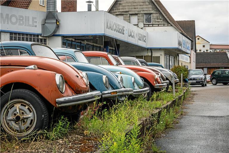 Ein Hingucker an der B14 in Maubach: Die vielen VW Käfer auf dem Gelände der Firma Erk&Canz. Fotos: Alexander Becher