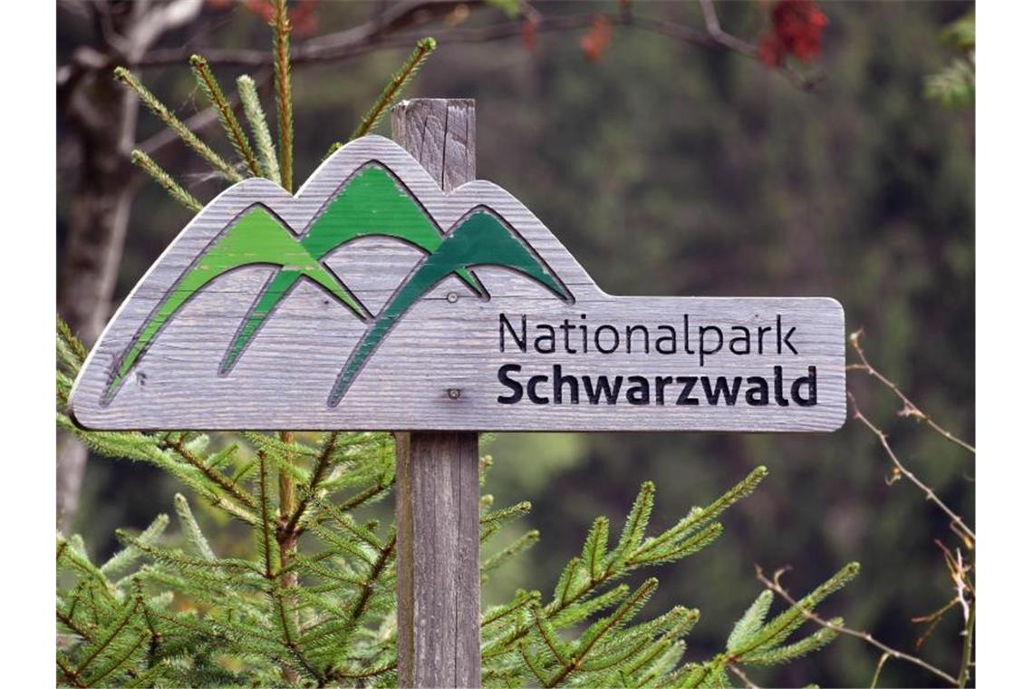 Ein Holzschild mit der Aufschrift „Nationalpark Schwarzwald“. Foto: Uli Deck/dpa/Archivbild