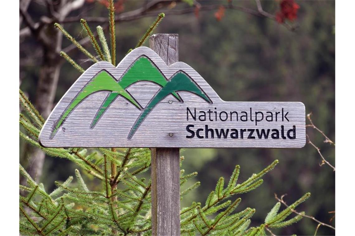 Ein Holzschild mit der Aufschrift „Nationalpark Schwarzwald“. Foto: Uli Deck