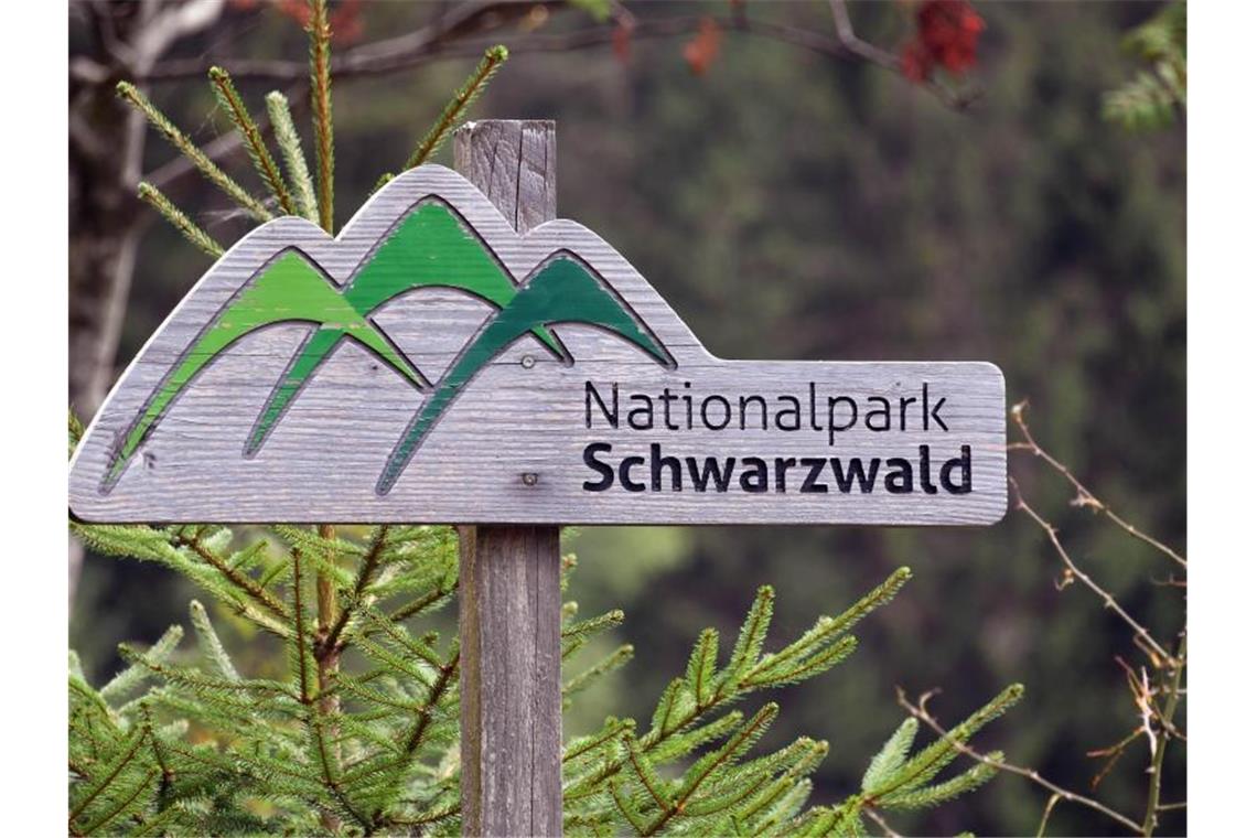 Ein Holzschild mit der Aufschrift „Nationalpark Schwarzwald“. Foto: Uli Deck/Archiv