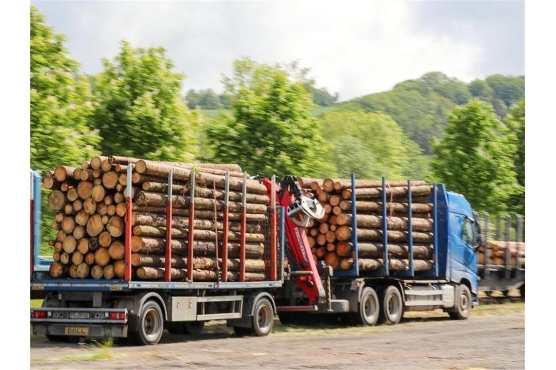 Streit um Holztransporte: Forstleute kritisieren Hermann Ein Holztransporter bringt Baumstämme zu einem Güterzug. Foto: Jan Woitas/dpa-Zentralbild/dpa/Archivbild