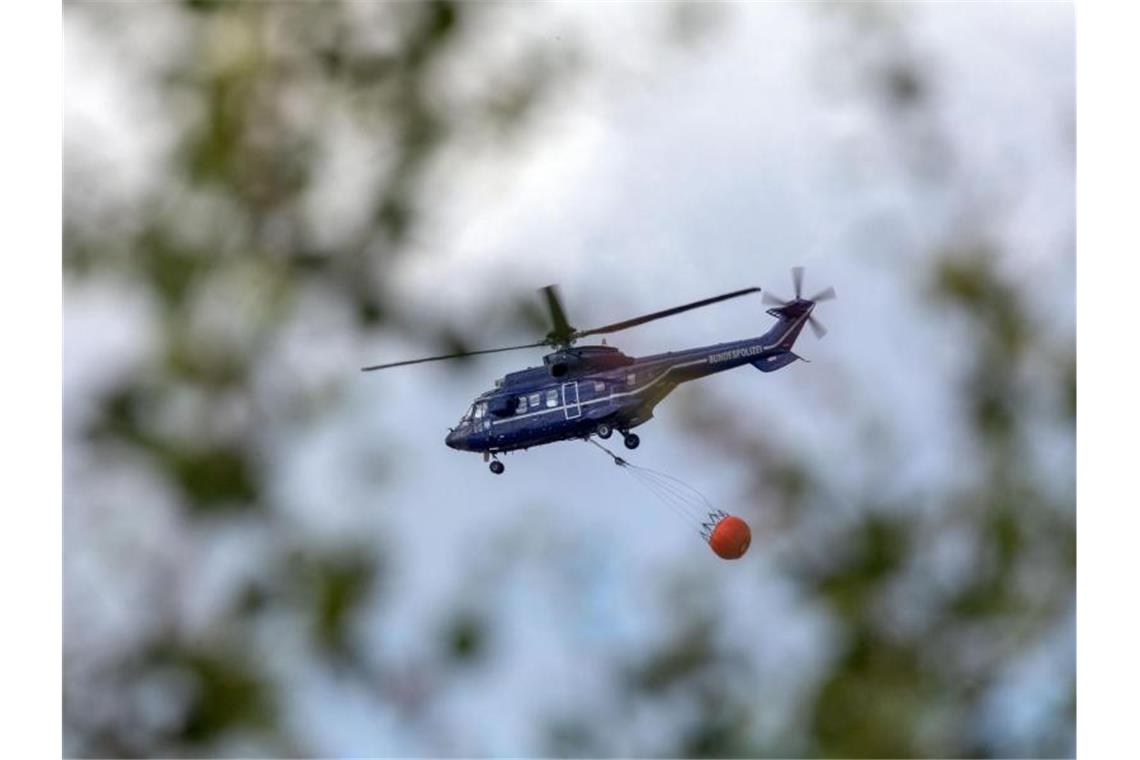 Ein Hubschrauber der Bundespolizei transportiert Löschwasser zu einem Brandherd. Foto: Jens Büttner