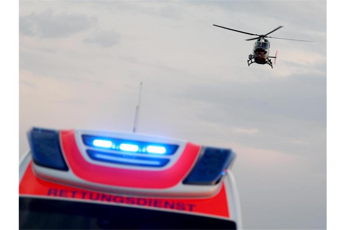 Stier nimmt Landwirt auf die Hörner und verletzt ihn schwer