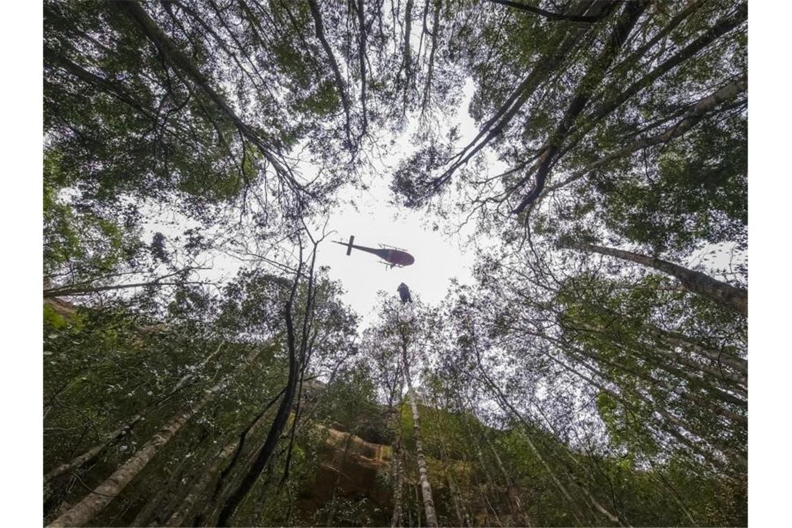 Ein Hubschrauber über dem Wollemi National Park im Bundesstaat New South Wales. Foto: Npws/NPWS/AAP/dpa
