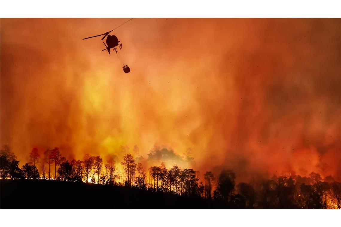 Zerstörung tropischer Urwälder auf höchstem Stand seit 2002 Ein Hubschrauber wirft im brasilianischen Amazonas Löschwasser ab.