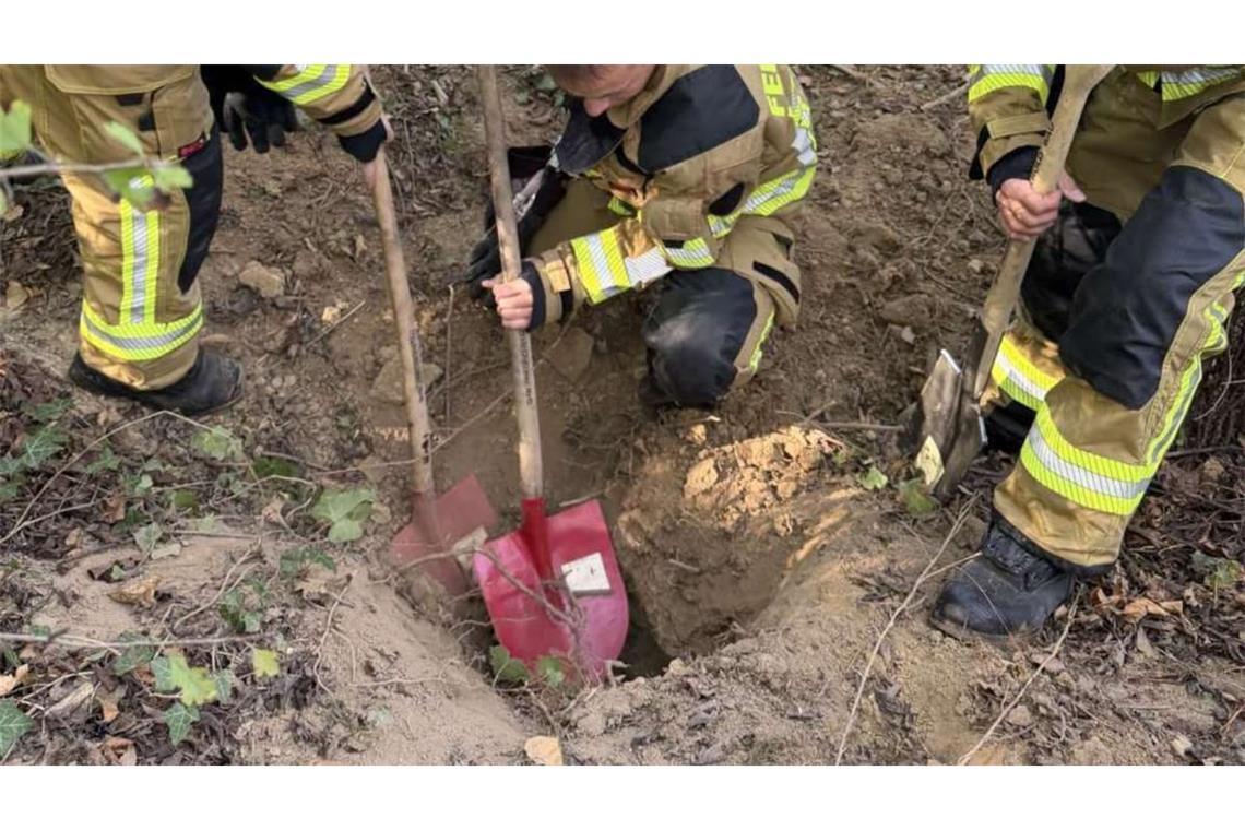 Ein Hund bleibt in einem Fuchsbau stecken: Die Feuerwehr rückt für die Befreiung an.