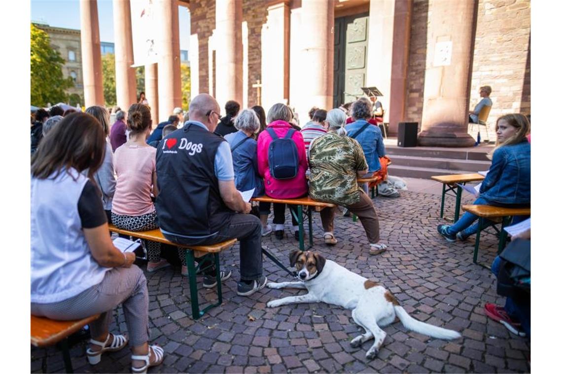 Ein Hund liegt während des ersten ökumenischen Tiergottesdienstes auf dem Platz vor der Kirche St. Stephan. Foto: Philipp von Ditfurth