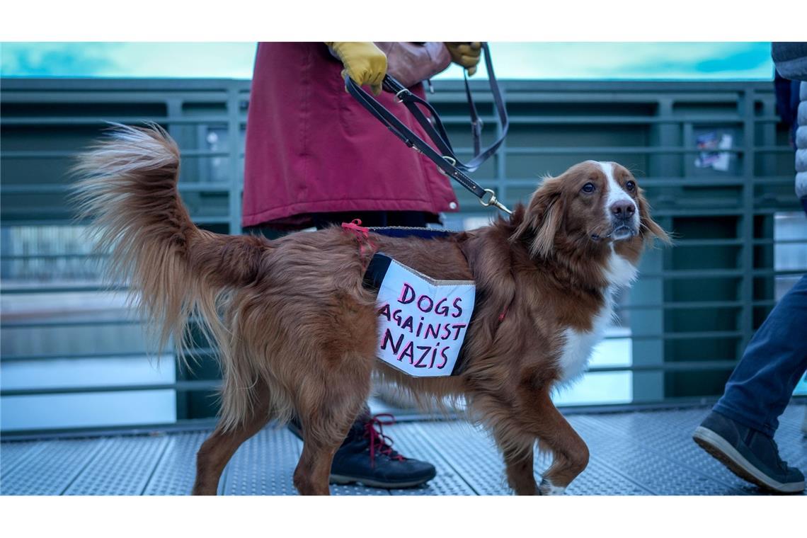 Ein Hund trägt bei der Demonstration in Berlin ein Plakat mit der Aufschrift "Dogs against Nazis".