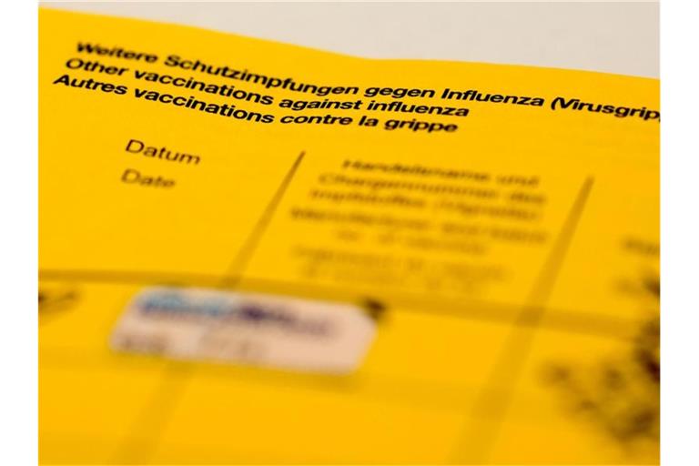 Ein Impfbuch mit den Feldern für die Impfung gegen Influenza (Virusgrippe). Foto: Jens Kalaene/zb/dpa/Archivbild