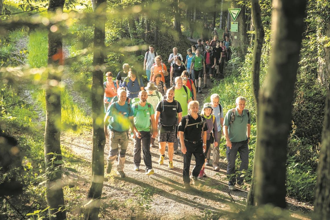24 wunderbare Wanderstunden Ein intensives Naturerlebnis und zugleich eine sportliche Herausforderung: 60 Wanderer waren 24 Stunden lang auf einer Rundtour um Murrhardt herum unterwegs.
