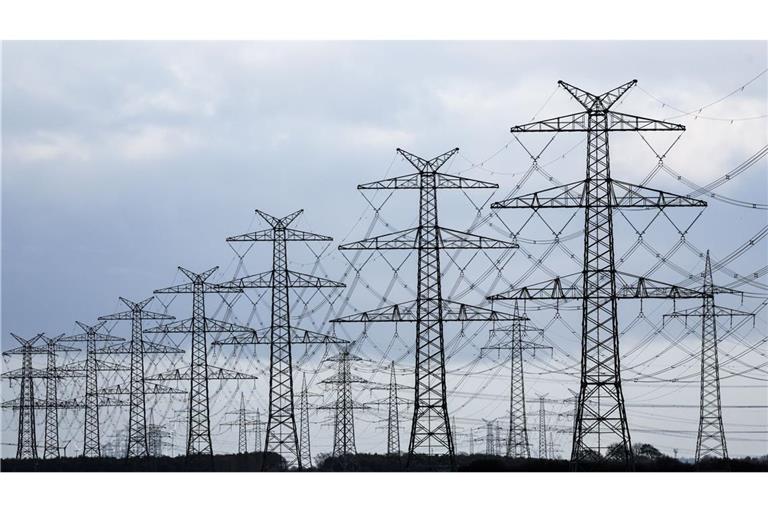 Ein Investitionsziel in Deutschland: Beim Stromnetzbetreiber Tennet stiegen ausländische Staatsfonds ein.