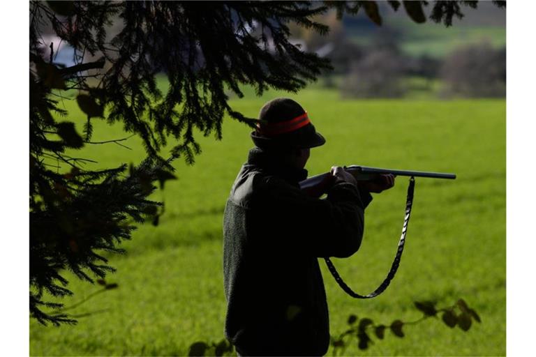 Ein Jäger steht während einer Treibjagd mit seinem Gewehr schussbereit am Waldrand. Im Prozess um einen Jäger, der zwei freilaufende Hunde erschossen hatte, ist in Augsburg ein Urteil gefallen. Symbolbild: Felix Kästle Foto: Felix Kästle