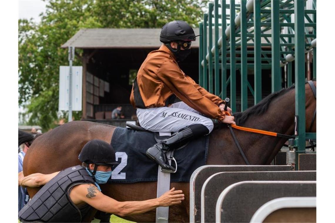 Ein Jockey wird vor einem Rennen auf seinem Pferd in die Startbox geführt. Foto: Robert Michael/dpa-Zentralbild/dpa/Symbolbild