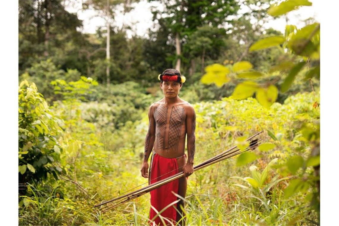 Indigene bezahlen Umweltschutz mit ihrem Leben Ein junger Waiāpi-Jäger in Brasilien hält Pfeil und Bogen in seiner Hand. Foto: Target/Nehberg/dpa