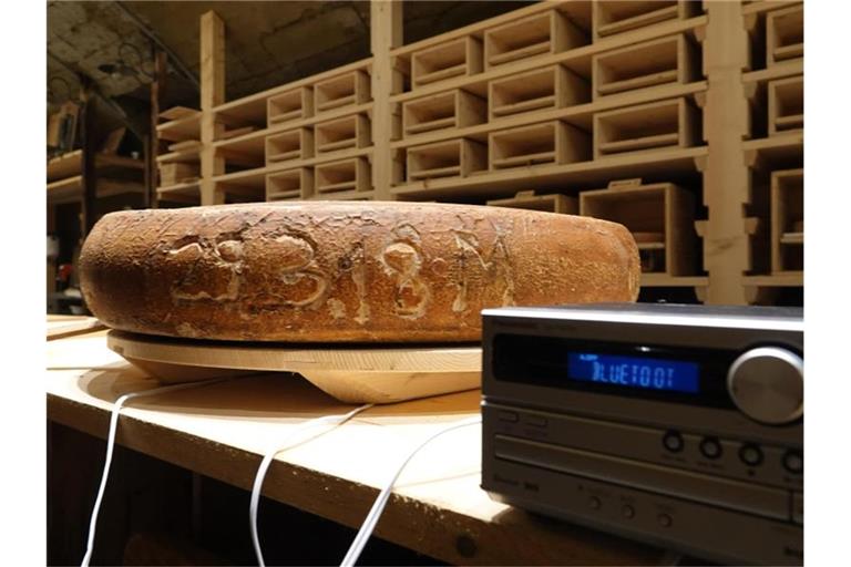 Ein Käselaib wird im Käselager mit Musik beschallt. Foto: Christiane Oelrich