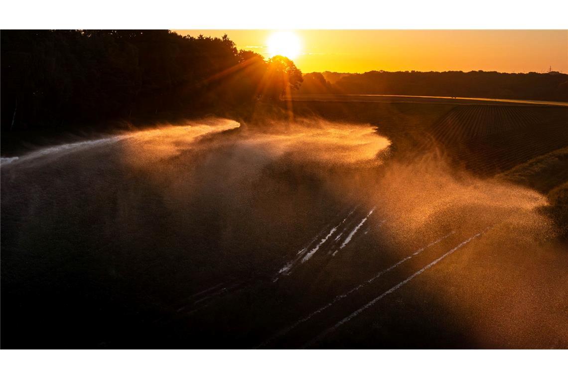Bilder des Tages Ein Kartoffelfeld wird in Niedersachsen aufgrund der anhaltenden Trockenheit am frühen Morgen bewässert .