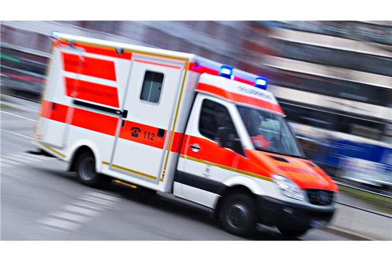 Ein Kind und eine Erzieherin wurden bei dem Unfall verletzt. (Symbolbild)