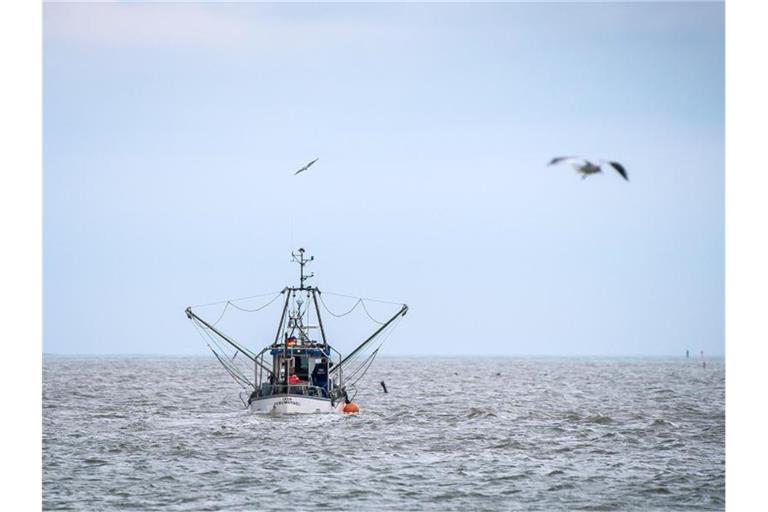 Ein Krabbenkutter auf der Nordsee. - Der Deutsche Fischereitag wird in nahe am Meer, in Emden, ausgetragen. Foto: Sina Schuldt/dpa