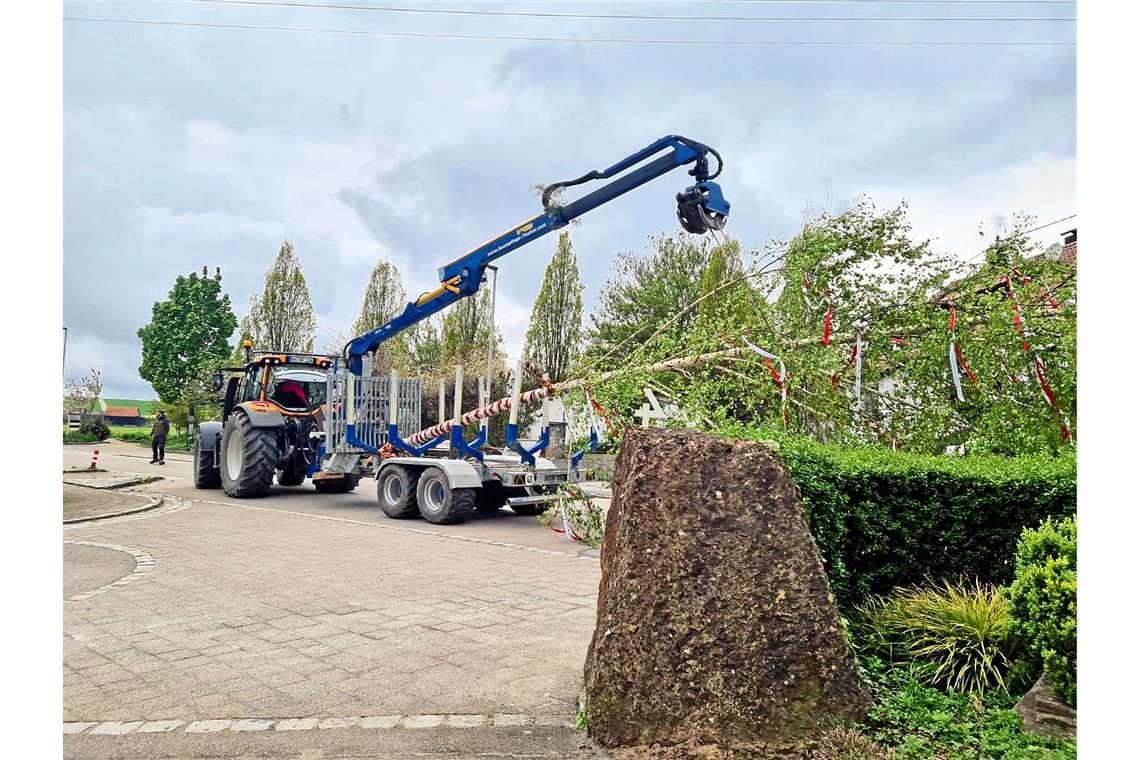 Der dritte Maibaum bringt den Heiratsantrag Ein Kran der Firma Merkle aus Oppenweiler bringt den Baum in Position. Fotos: Andrea Goller