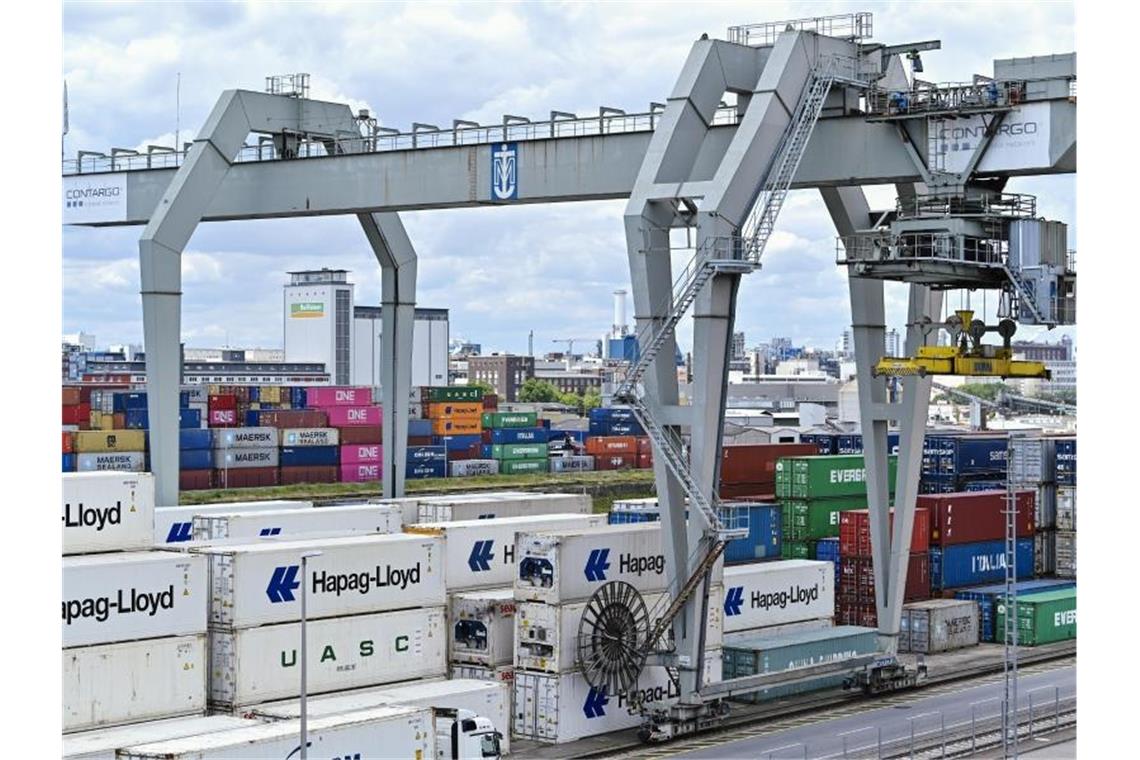 Ein Kran verlädt Container im Handelshafen des Rhein-Neckar-Hafens. Foto: Uwe Anspach/dpa