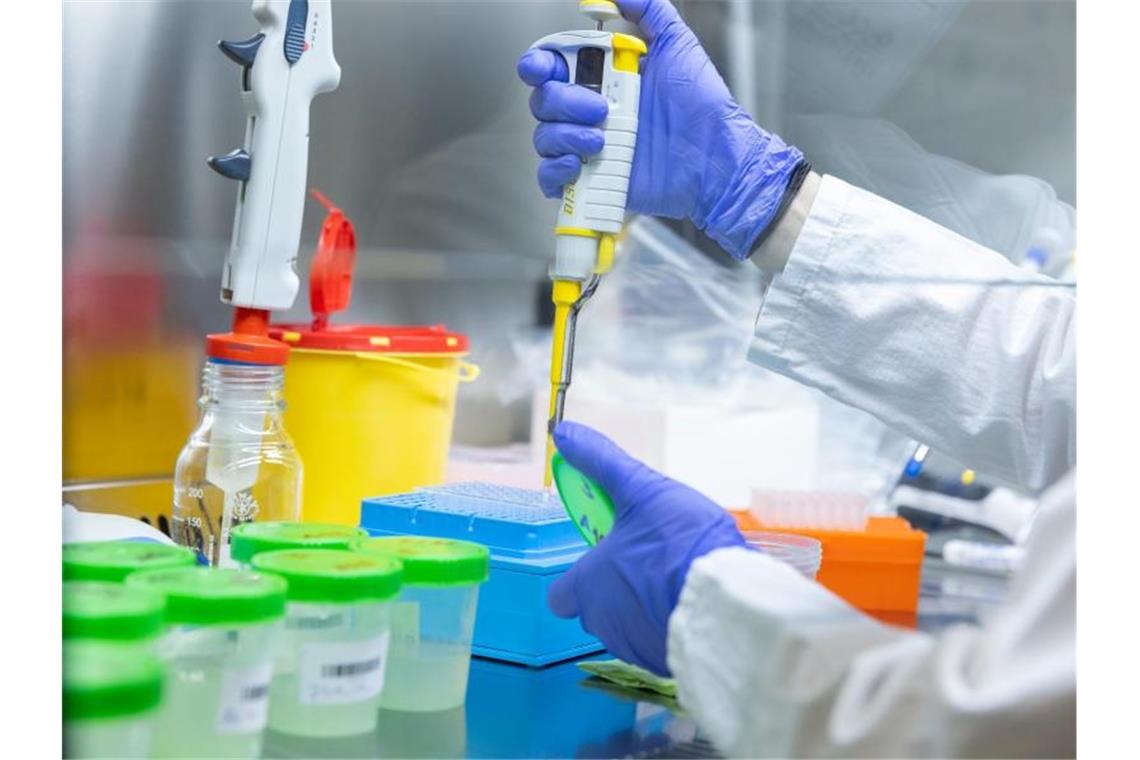 Labore kommen an ihre Grenzen - PCR-Tests sparsam verwenden Ein Labormitarbeiterin beim IT-Dienstleister Datev eG analysiert in einem Labor Gurgeltests aus einer Schule. (Archivbild). Foto: Daniel Karmann/dpa