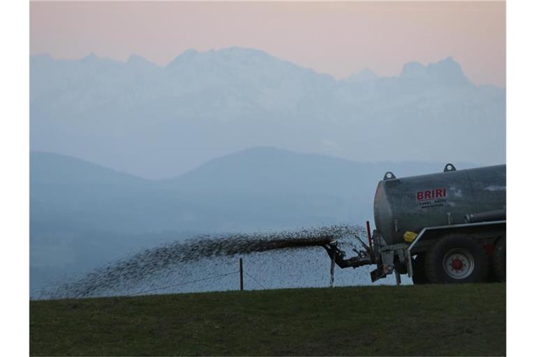 Ein Landwirt düngt auf dem 1055 Meter hohen Auerberg vor dem Panorama der Alpen eine Wiese mit Gülle. Foto: Karl-Josef Hildenbrand