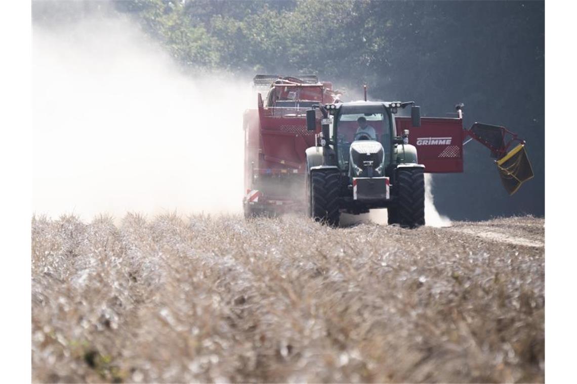 Ein Landwirt erntet auf einem staubtrockenen Feld bei Hannover Kartoffeln. Auch 2020 war die Trockenheit ein großes Problem für Landwirte. Foto: Julian Stratenschulte/dpa