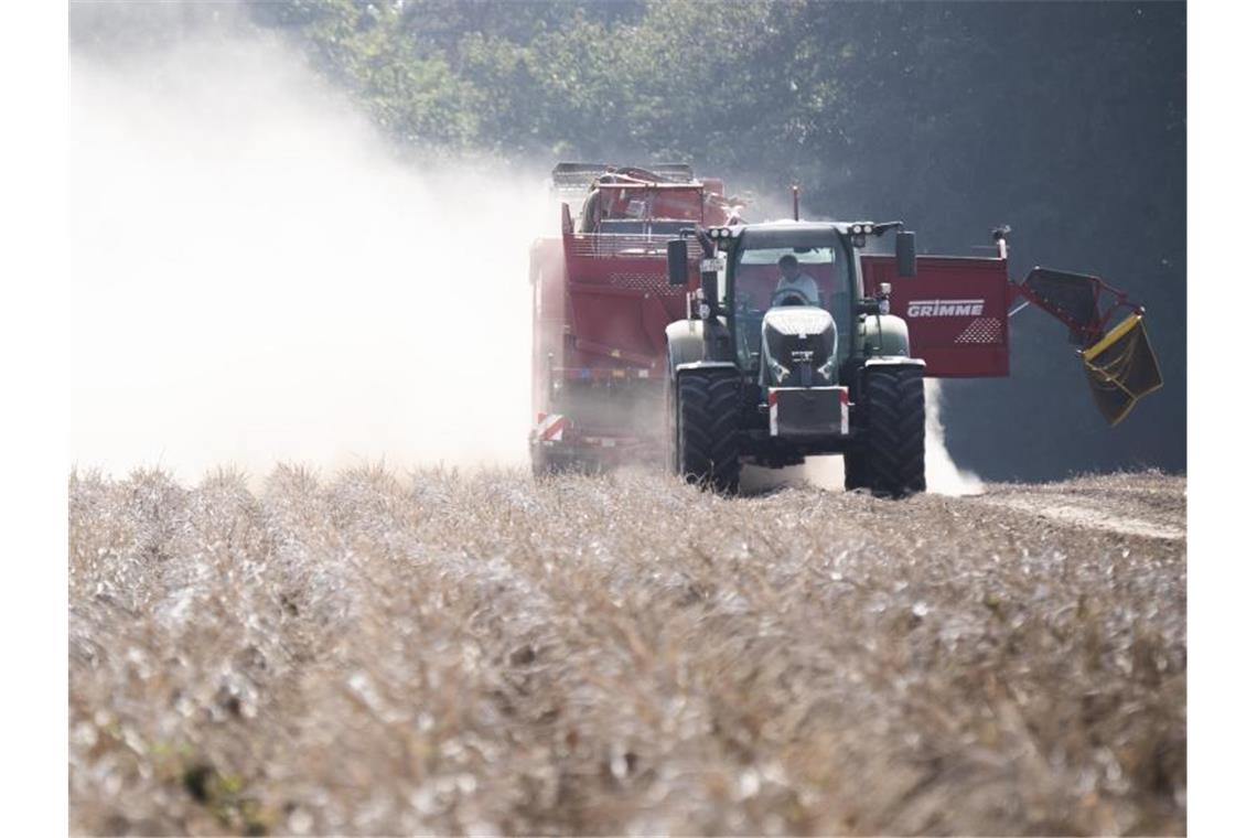 Trockenheit war auch 2020 Problem für Landwirte und Wälder Ein Landwirt erntet auf einem staubtrockenen Feld bei Hannover Kartoffeln. Auch 2020 war die Trockenheit ein großes Problem für Landwirte. Foto: Julian Stratenschulte/dpa