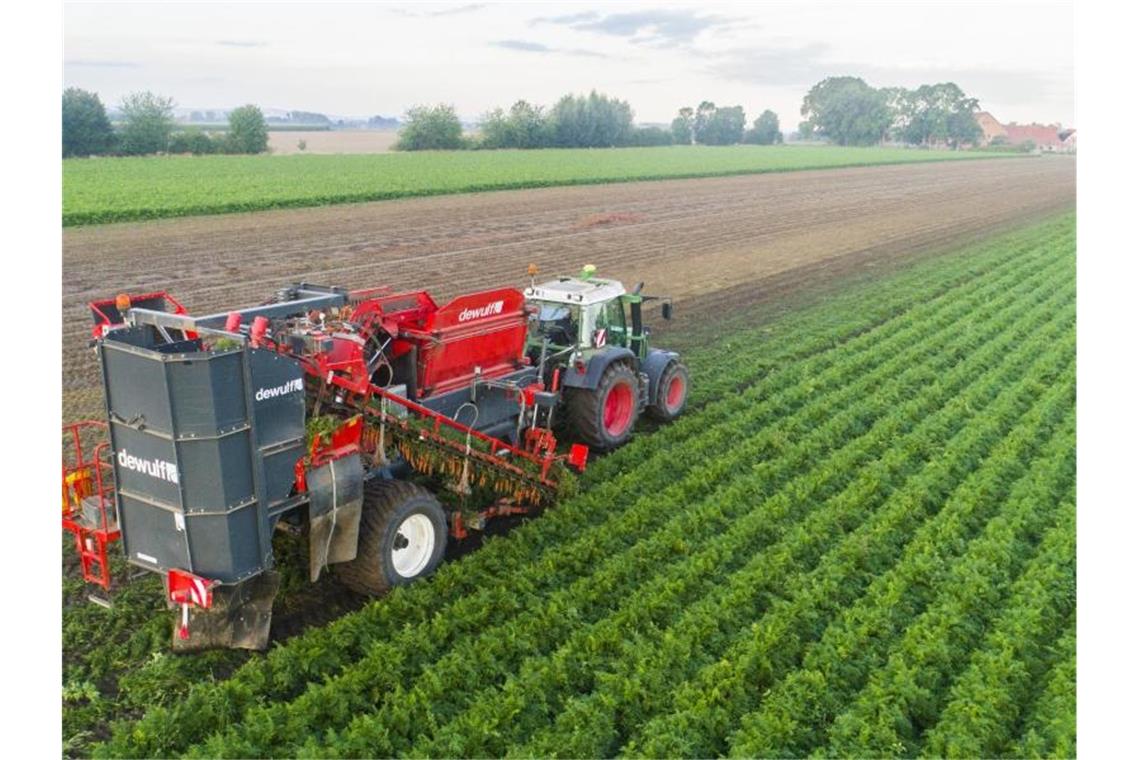 Ein Landwirt erntet Bio-Möhren auf einem Feld im Landkreis Hildesheim. Die EU-Agrarminister nähern sich einer Einigung bei der Agrarreform. Foto: Julian Stratenschulte/dpa