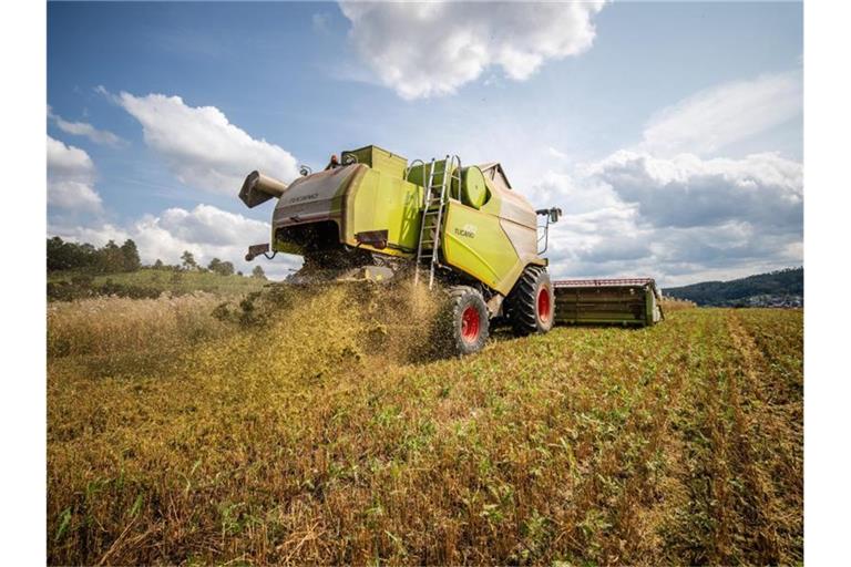 Ein Landwirt fährt bei der Getreideernte mit seinem Mähdrescher über ein Haferfeld. Eine starke Nachfrage insbesondere nach Getreide und Raps hat die Erzeugerpreise für landwirtschaftliche Produkte 2021 in die Höhe getrieben. Foto: Christoph Schmidt/dpa