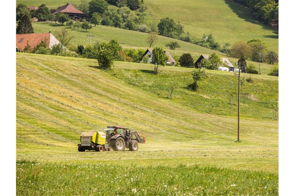 Ein Landwirt fährt mit einer an den Traktor über eine Wiese. Foto: Philipp von Ditfurth/dpa/Archivbild