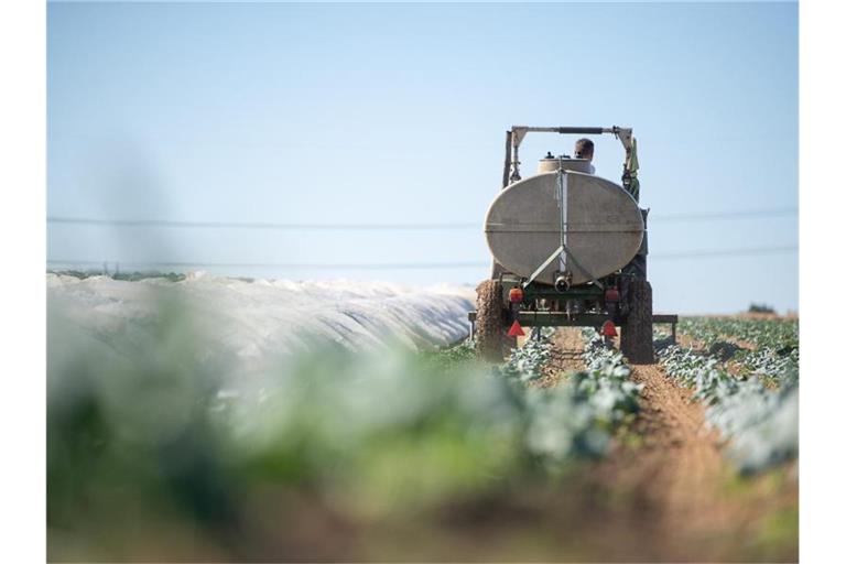 Ein Landwirt gießt seine Pflanzen. Foto: Sebastian Gollnow/dpa/Archivbild