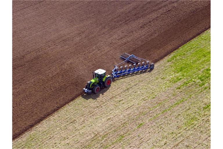 Ein Landwirt pflügt ein abgeerntetes Feld in Mecklenburg. Foto: Jens Büttner/dpa-Zentralbild/dpa