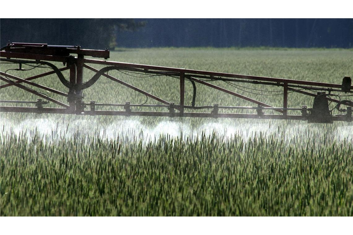 Ein Landwirt versprüht Pflanzenschutzmittel über ein Roggenfeld.