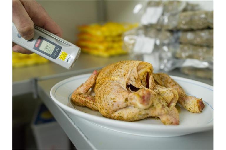 Ein Lebensmittelkontrolleur überprüft bei einer Betriebskontrolle die Temperatur eines Hähnchens. Foto: Uwe Anspach/dpa/Archivbild