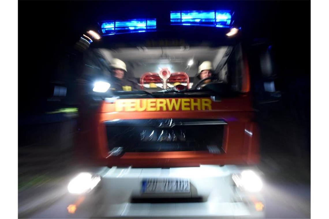 Feuerwehr rettet Amphibien vor dem Vertrocknen