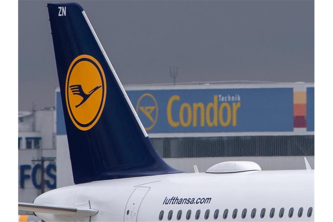 Ein Lufthansa-Airbus vor dem Logo von Condor. Foto: Silas Stein/dpa